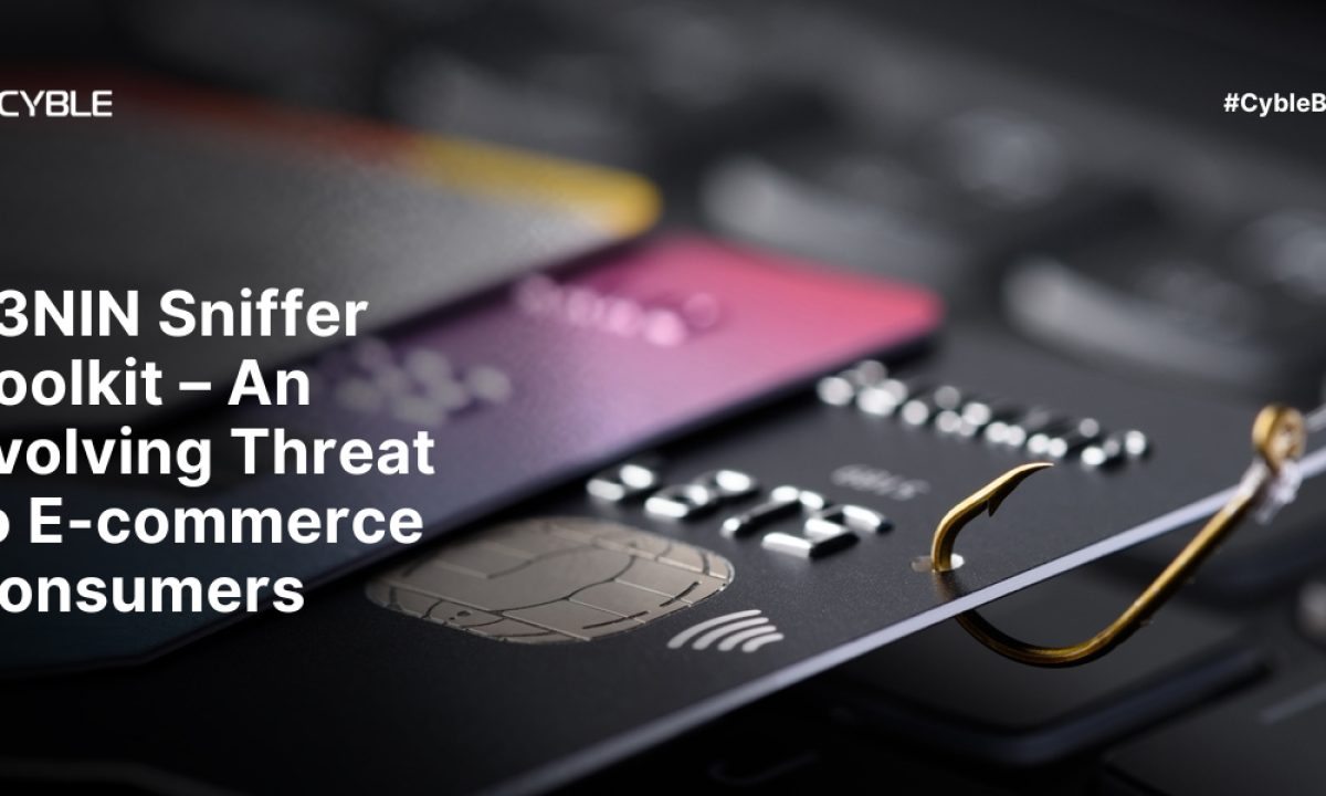 R3NIN Sniffer Toolkit: A Growing Threat to E-commerce