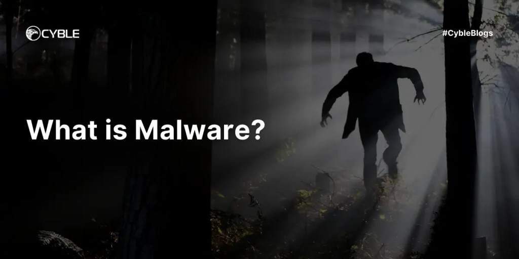 What is Malware