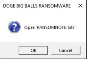 Figure 6 – Doge Big Balls Ransomware Prompt