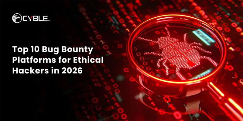 Bug Bounty Platforms