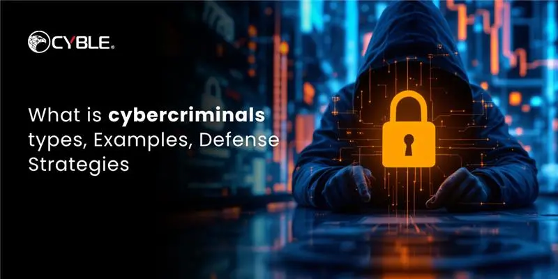 what is cybercriminals
