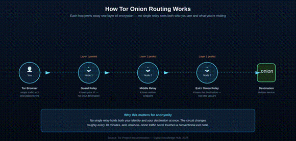 Top 10 Hidden Wiki Alternatives to Explore the Dark Web Safely in 2026 7 How Tor Routing Actually Protects You