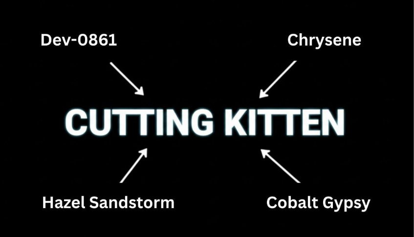 Threat Actor Profile: Cutting Kitten 1 image 28
