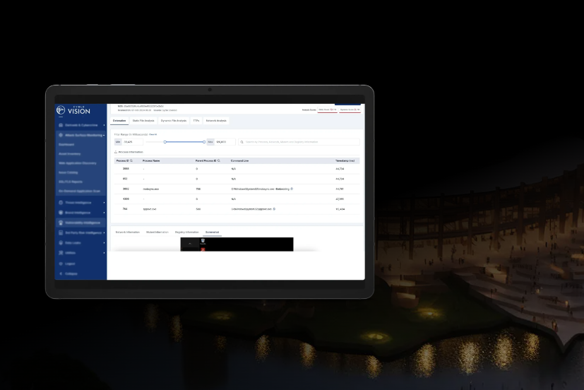 Executive Monitoring Solutions in Australia