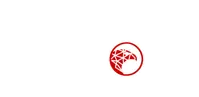 Cyble Vision